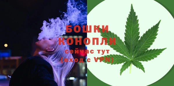 тгк Лиски