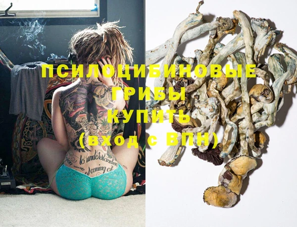 тгк Лиски