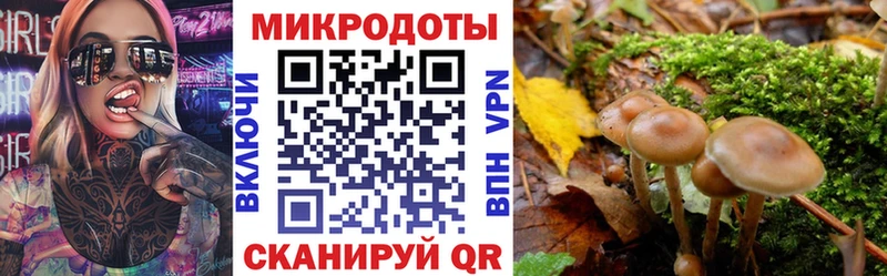 Купить  Мезень  Галлюциногенные грибы прущие грибы 